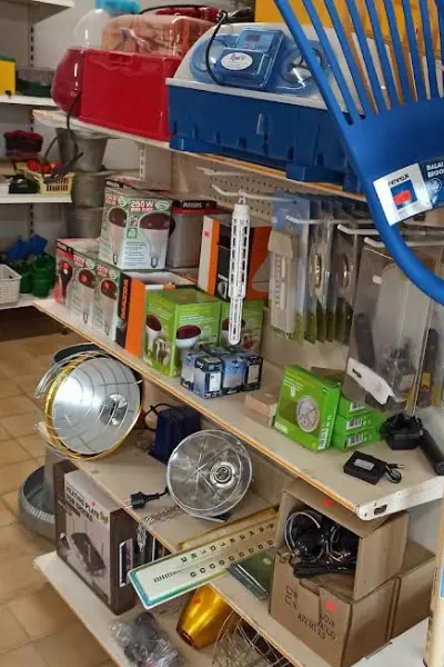 Matériel pour poussins